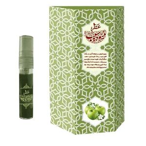 عطر جیبی طیبستان مدل سیب حجم 5 میلی لیتر